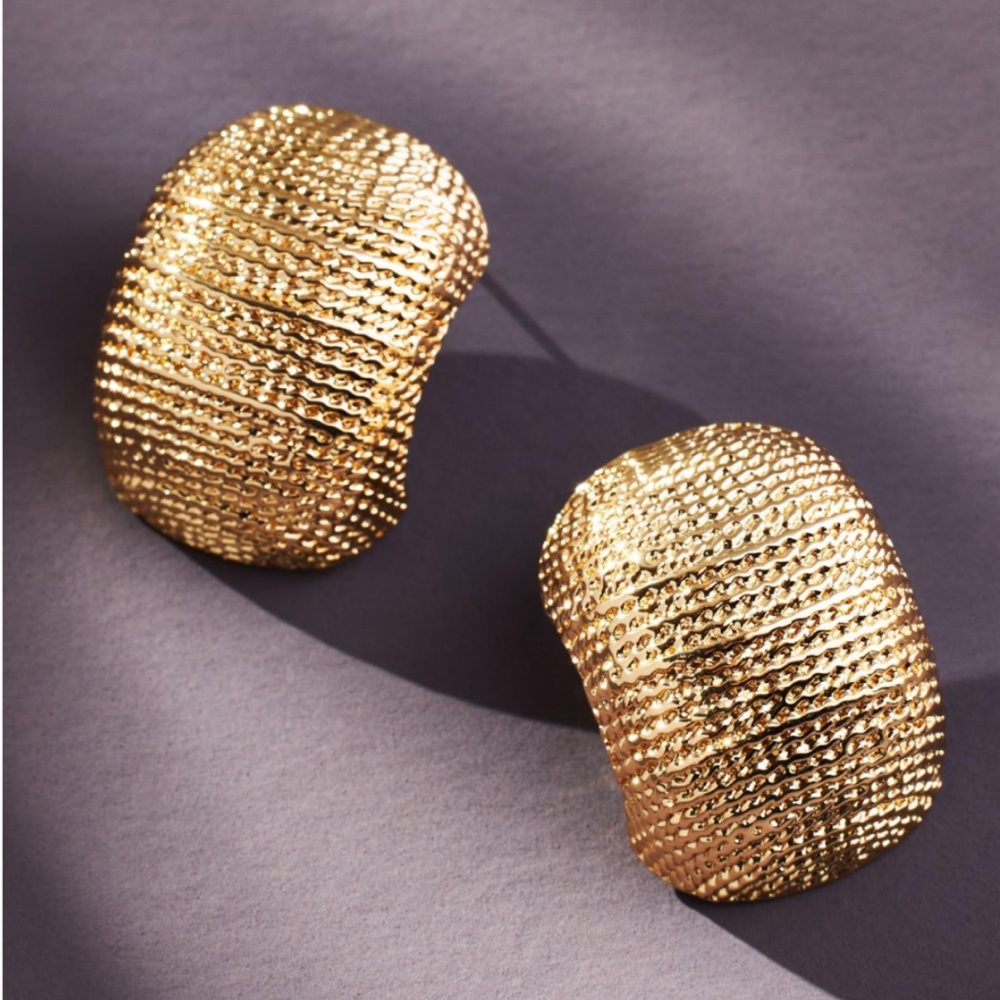 House of Harlow Textured Earrings